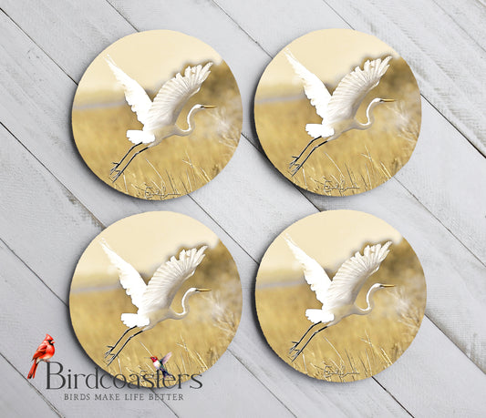 Great White Egret - Morning Ascent