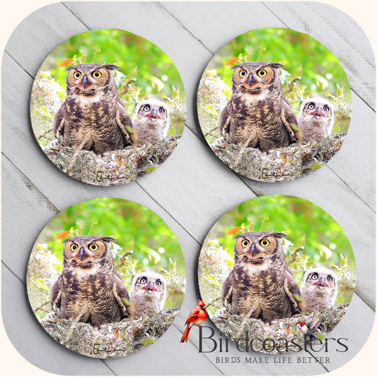 Owl Family - Nesting Comfort