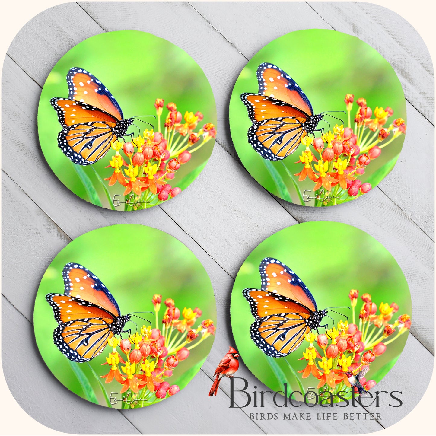 Queen Butterfly - Meadow Glow