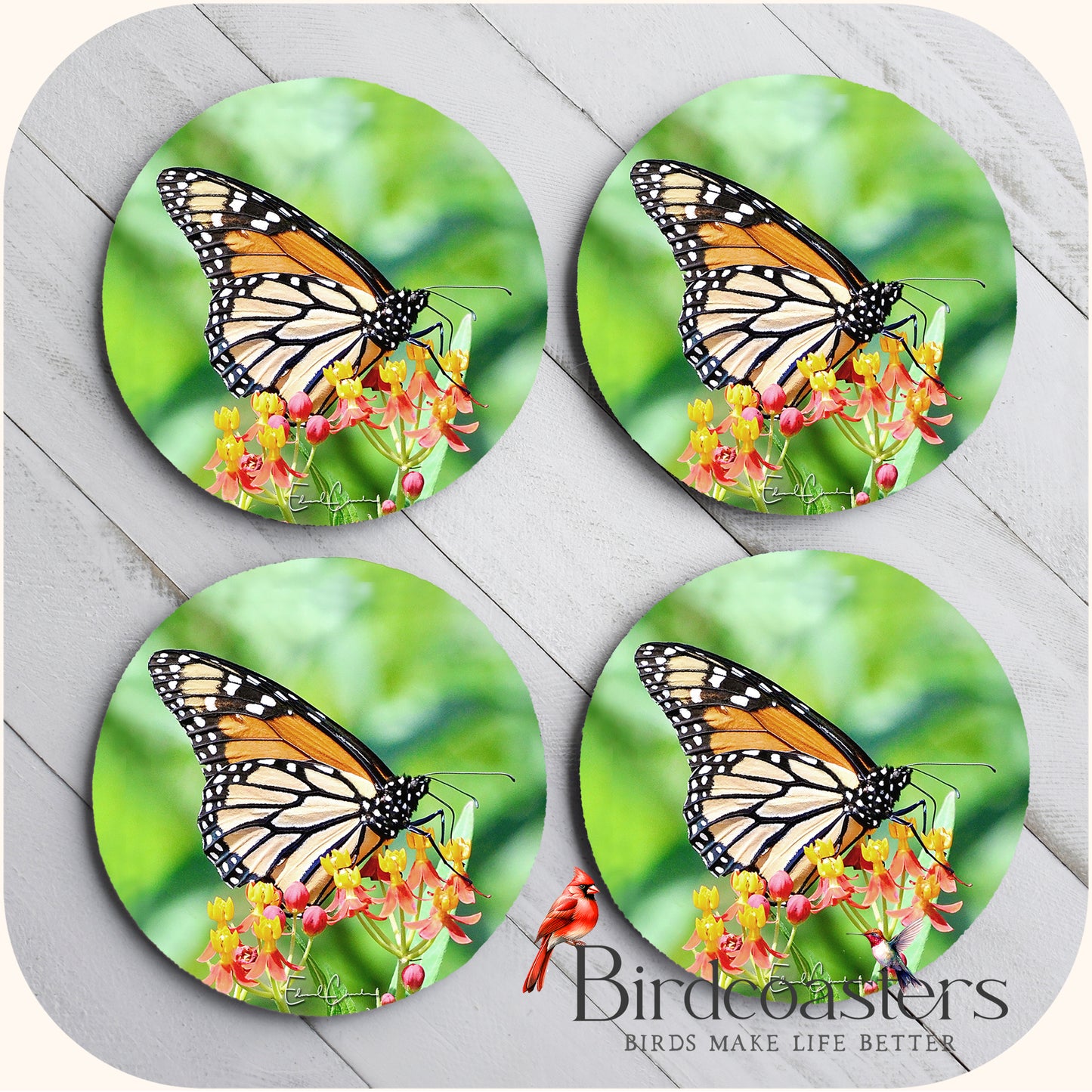 Monarch Butterfly - Garden Grace