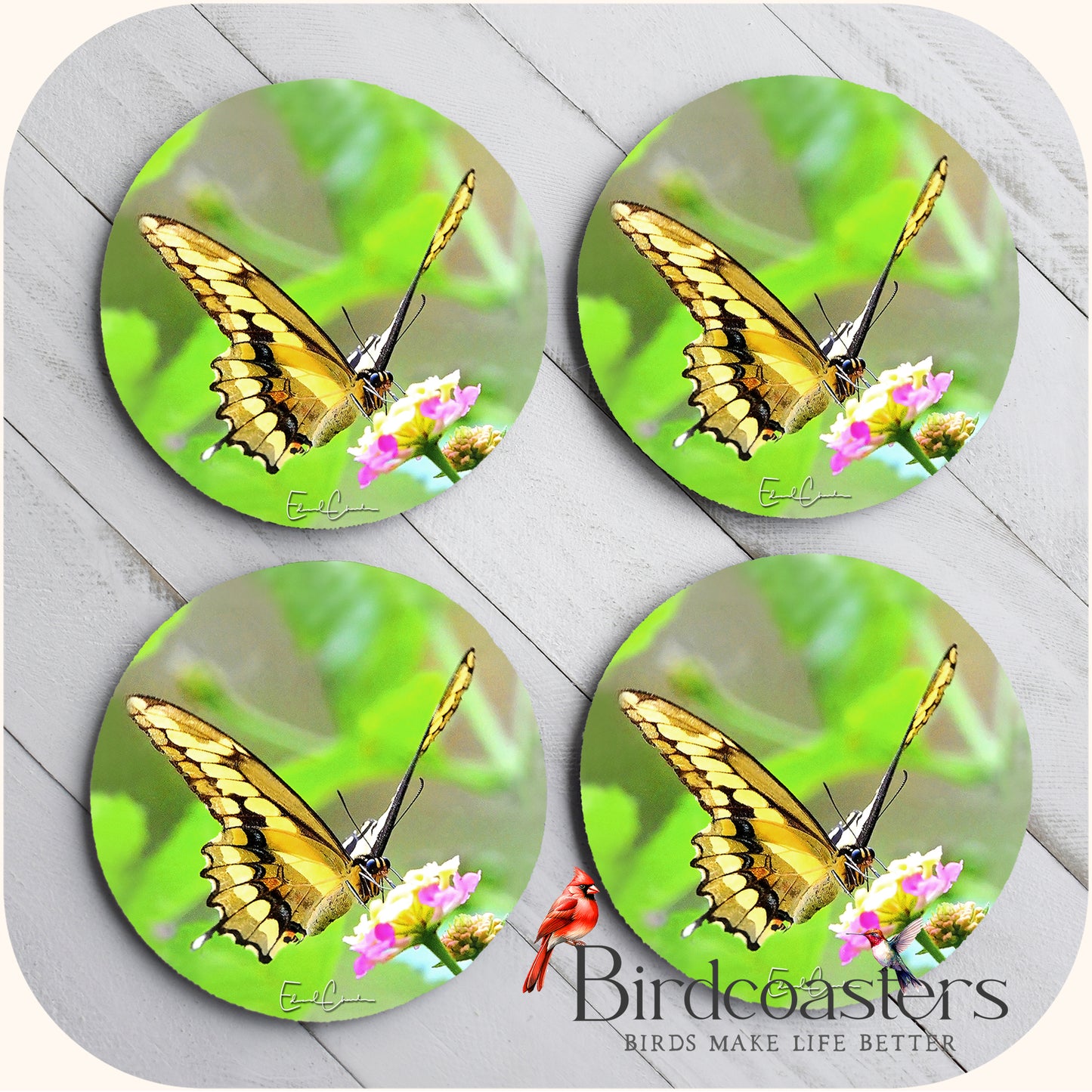 Giant Swallowtail - Lantana Light