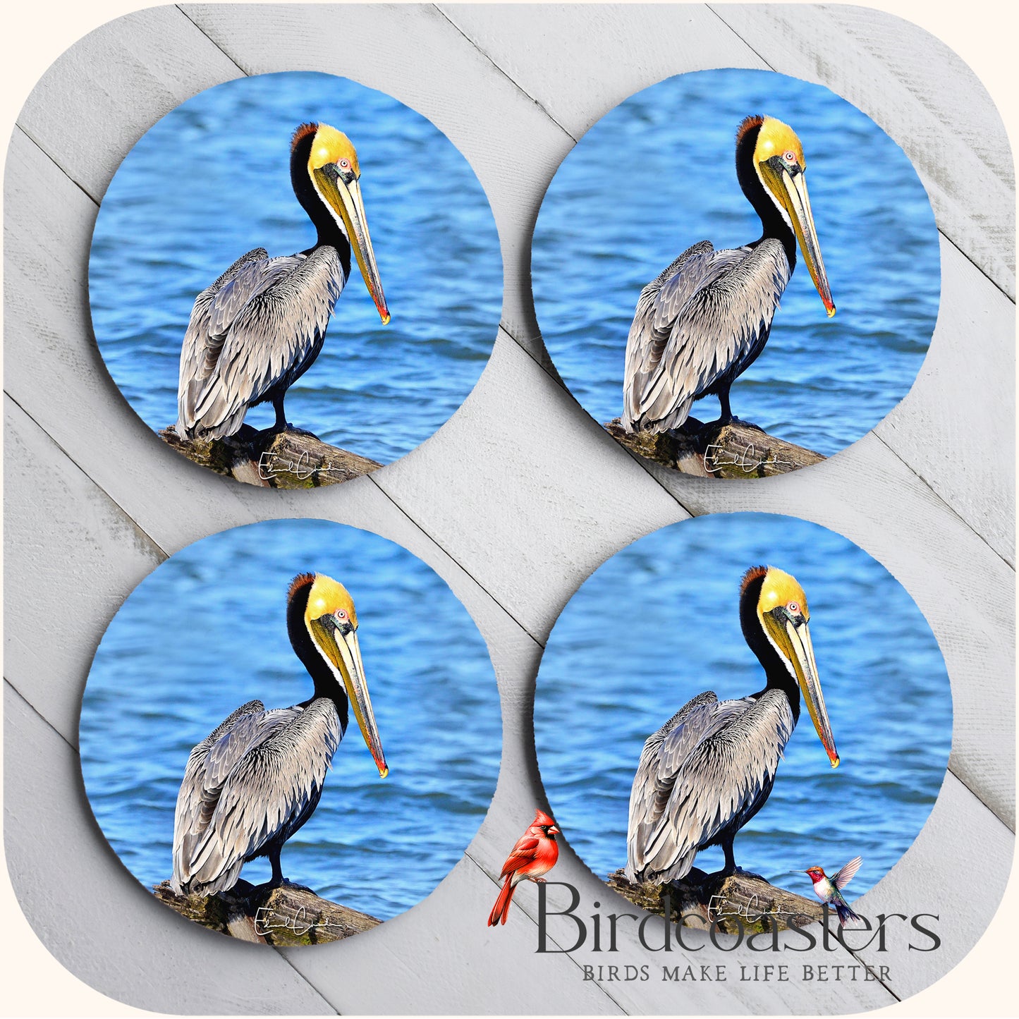 Pelican - Coastal Calm