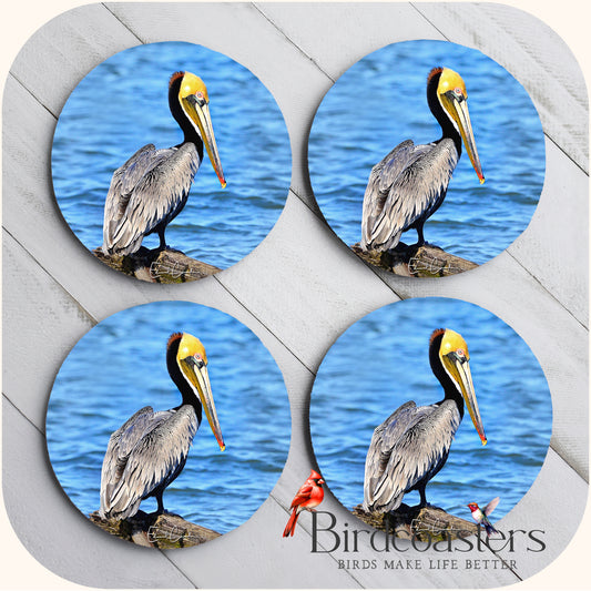 Pelican - Coastal Calm