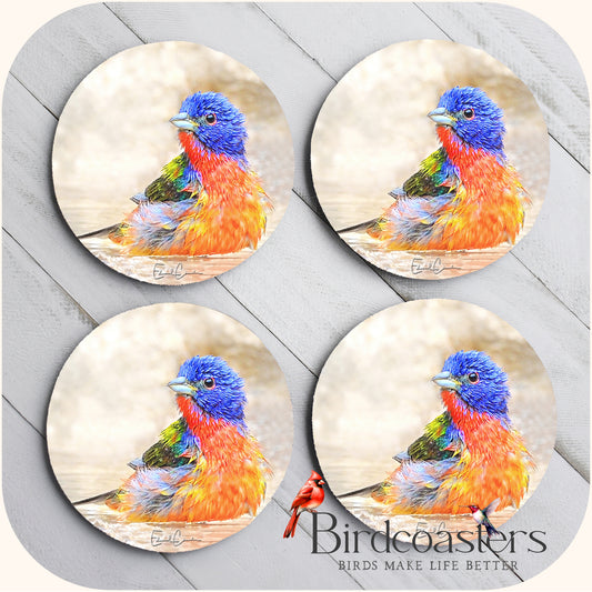 Painted Bunting - Splashy Little Miracle