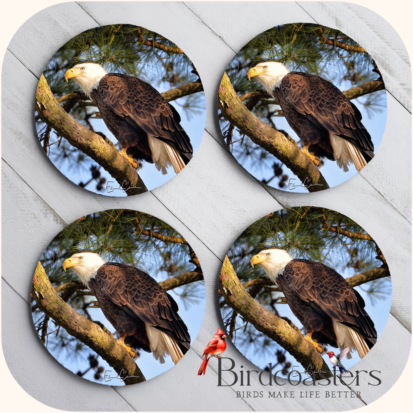 American Eagle - Woodland Grace