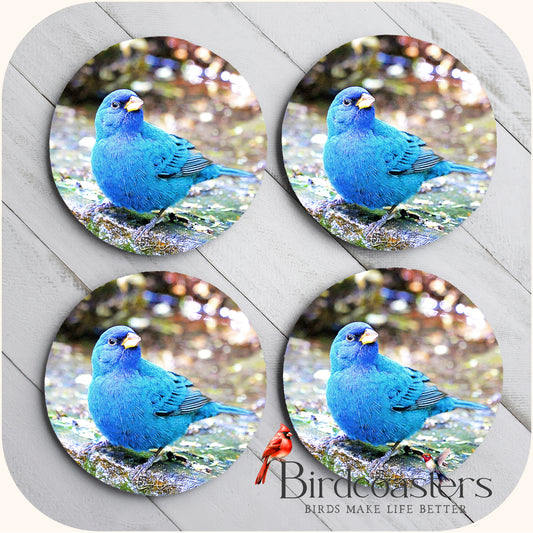 Indigo Bunting - Streamside Serenity