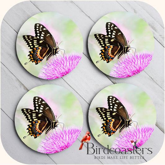 Palamedes Swallowtail Butterfly - Coastal Grace