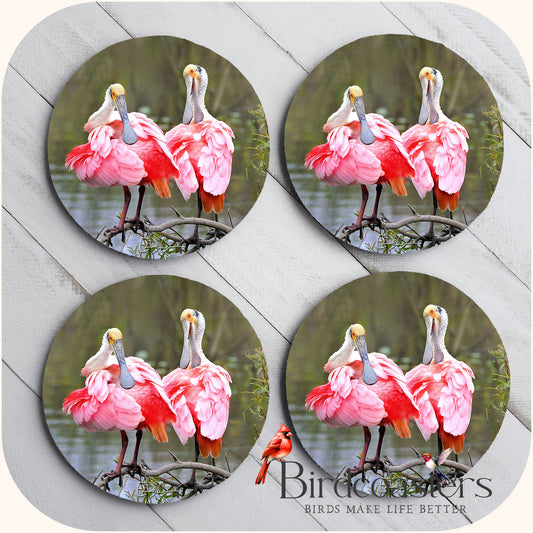 Roseate Spoonbills - Marshland Companions