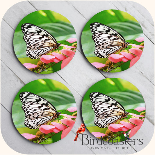 Rice Paper Butterfly - Garden Grace