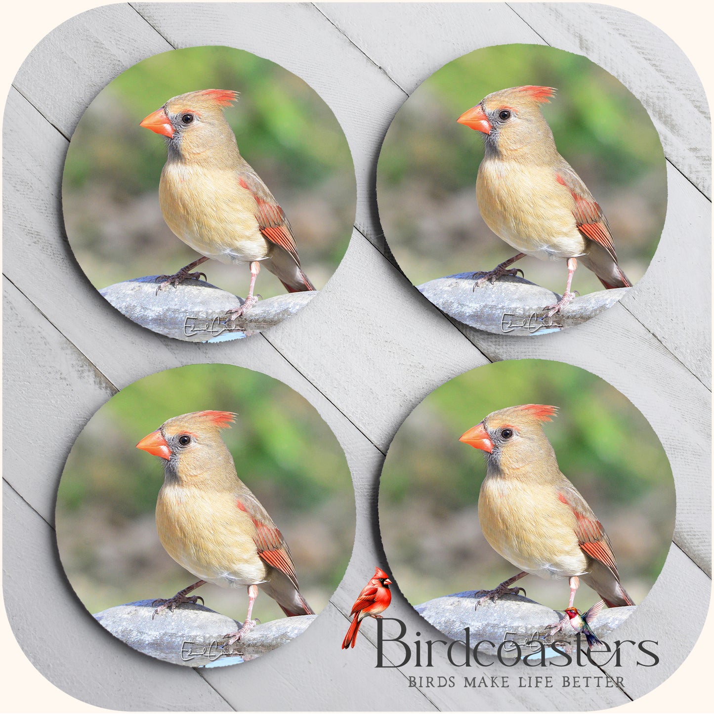 Lady Cardinal - Woodland Grace