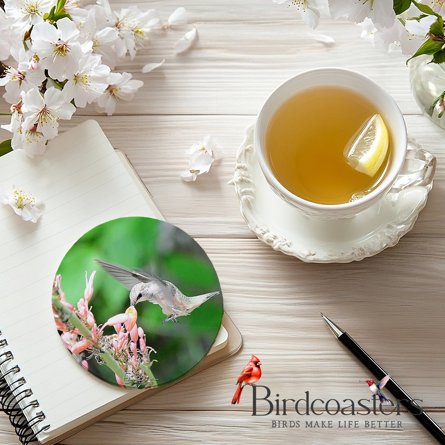 Rufous Hummingbird - Blossom Nourishment