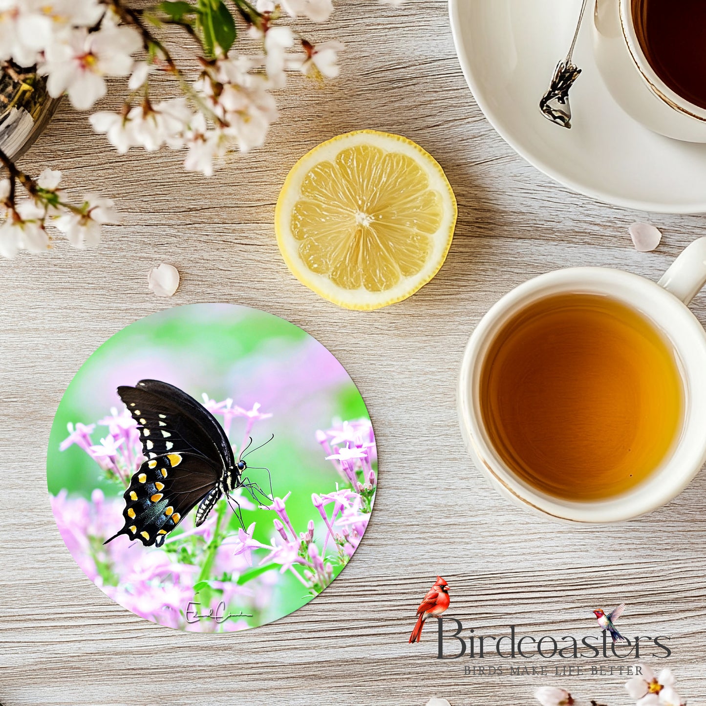 Spicebush Swallowtail