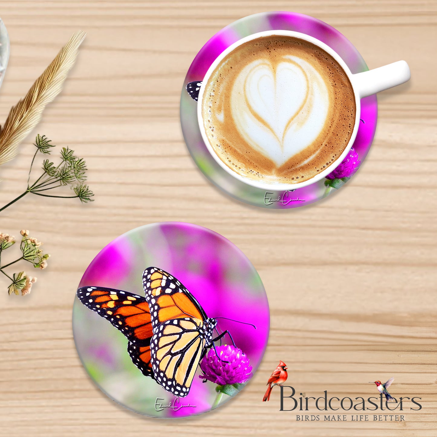 Monarch Butterfly - Garden Grace