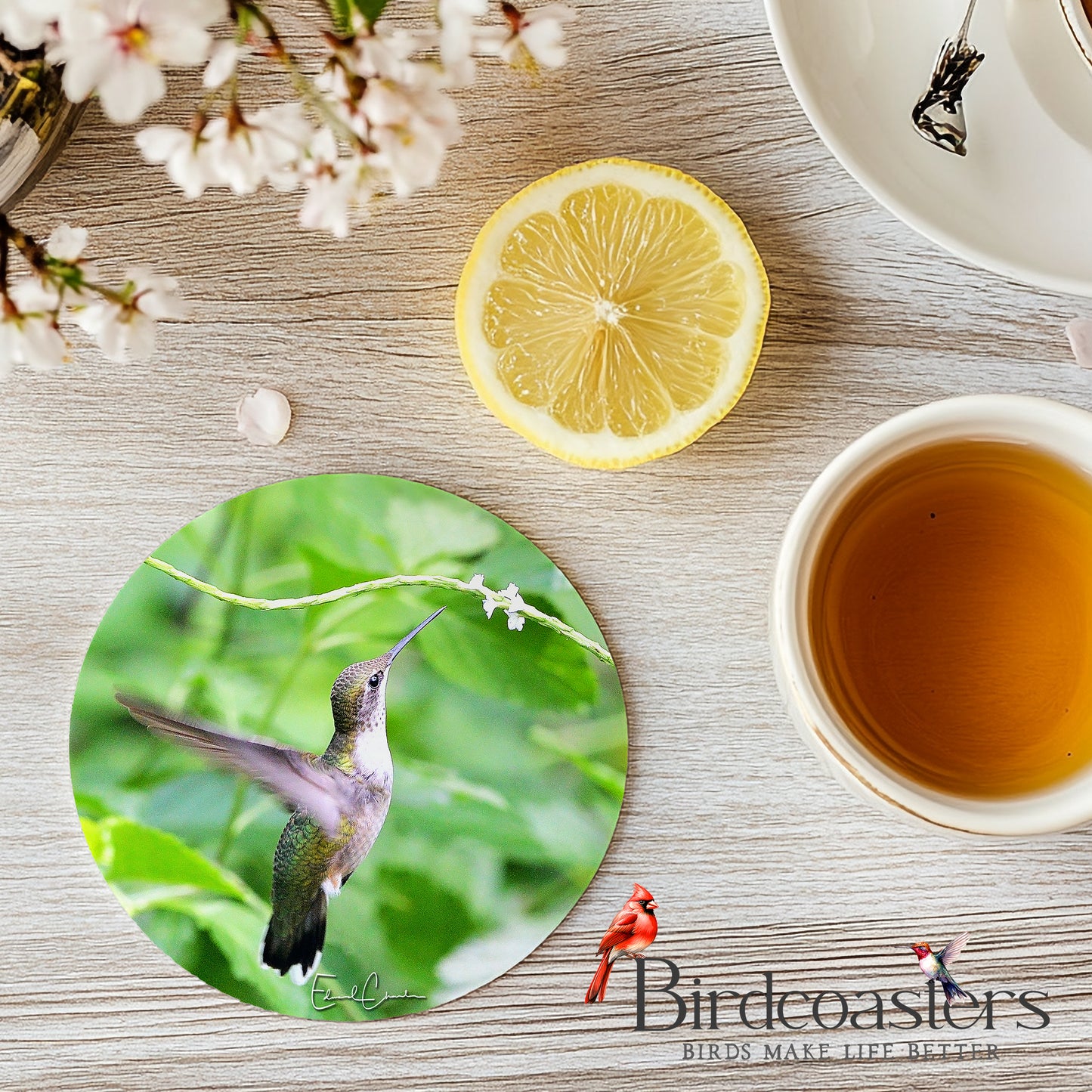 Ruby-Throat Hummingbird