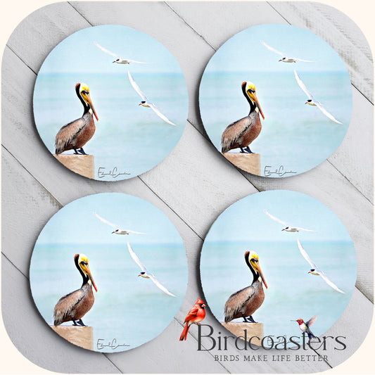 Pier Patrol - Pelican and Seagulls