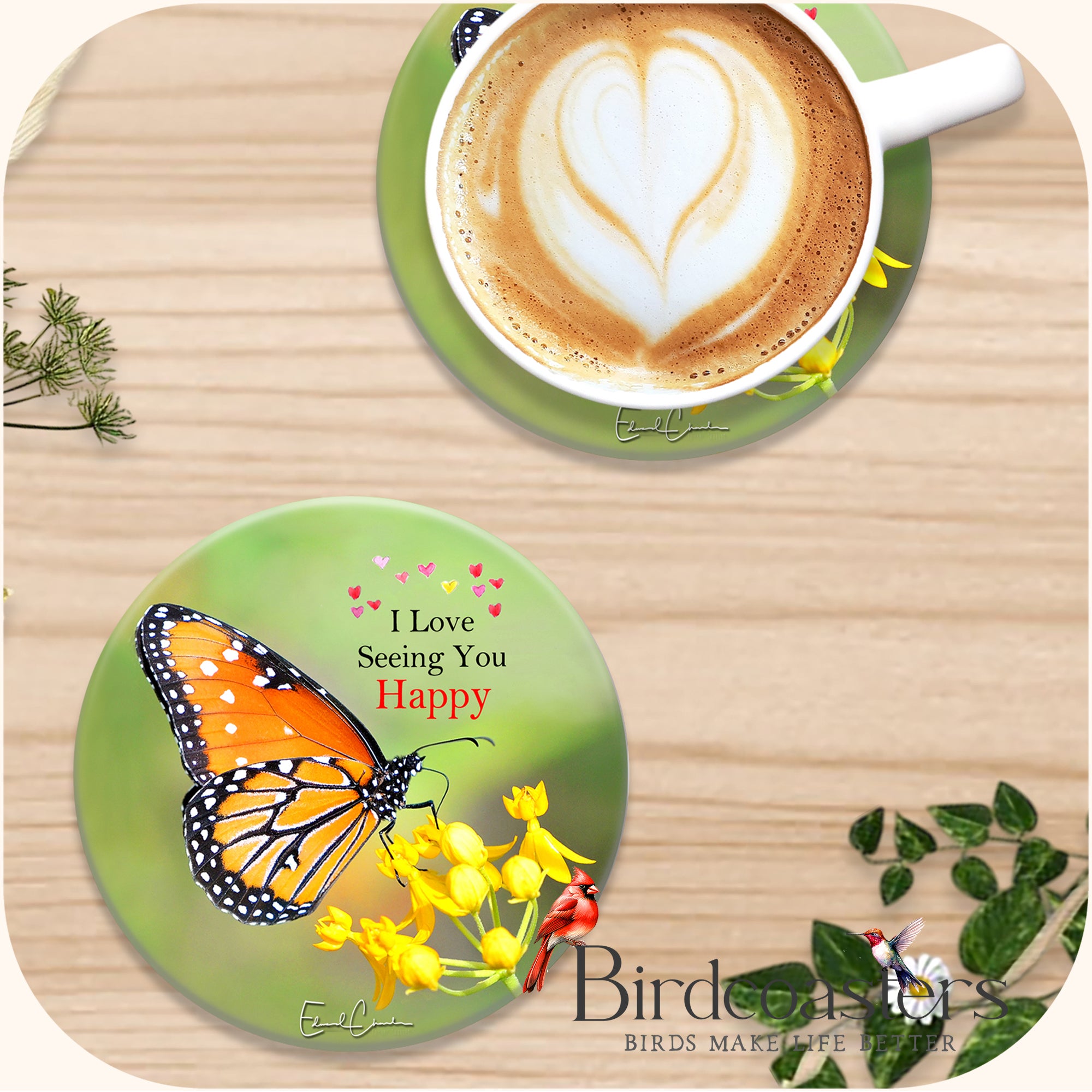 Queen Butterfly - See You Happy – Birdcoasters