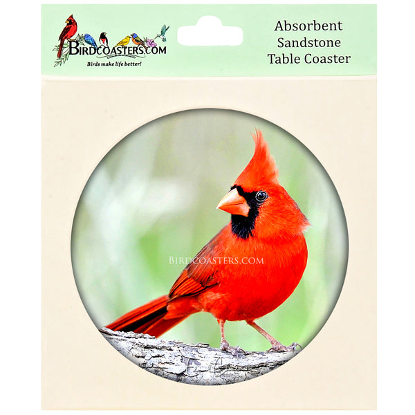 Cardinal