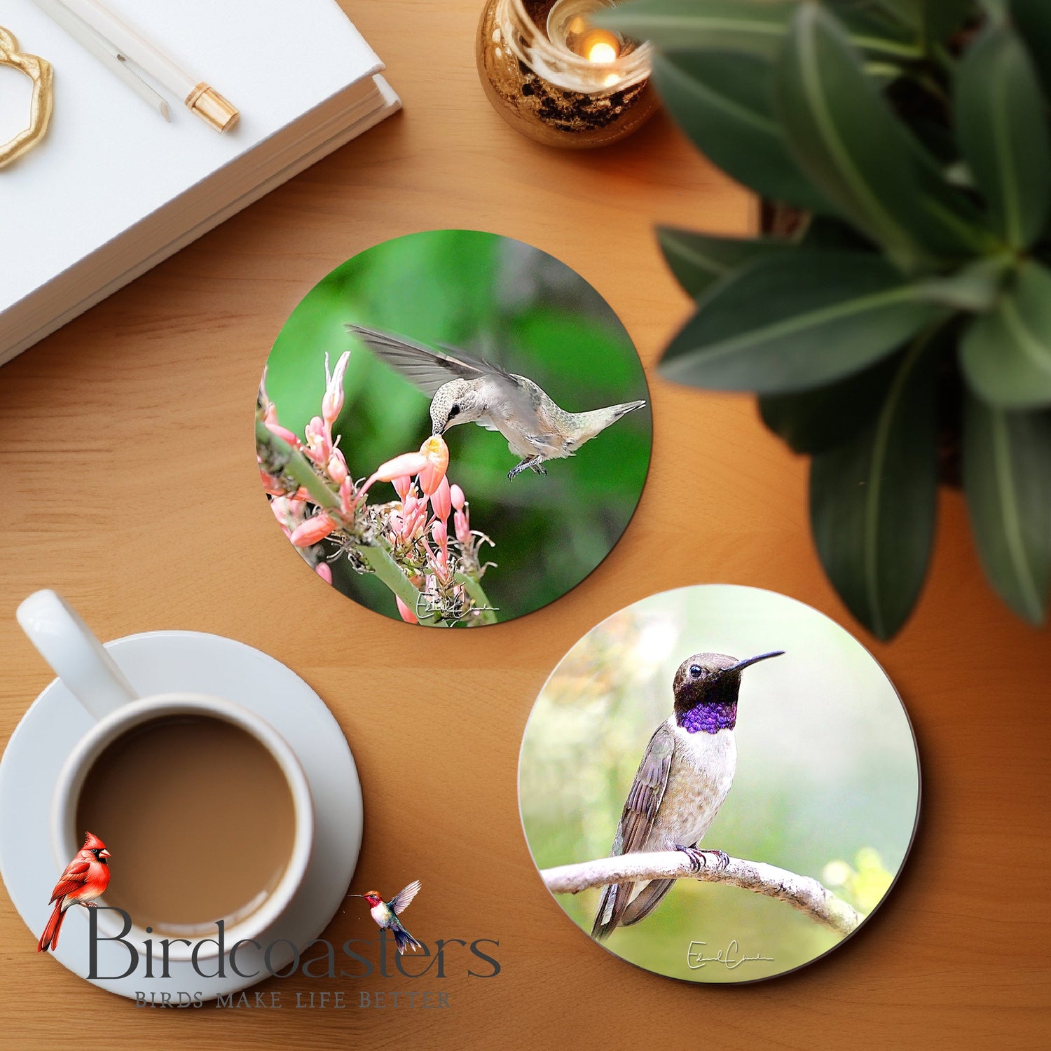 Garden Light - Hummingbirds