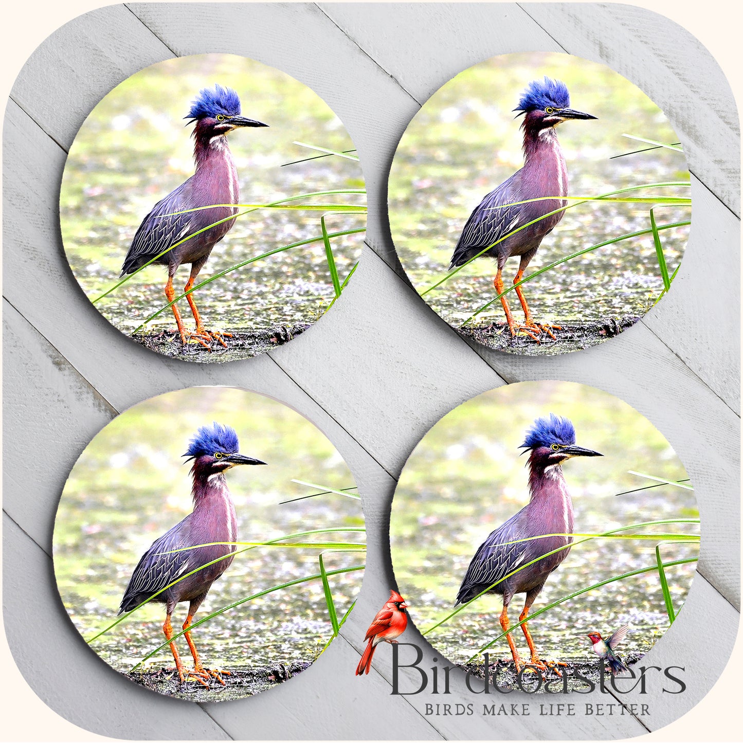 Green Heron - Marshland Mischief