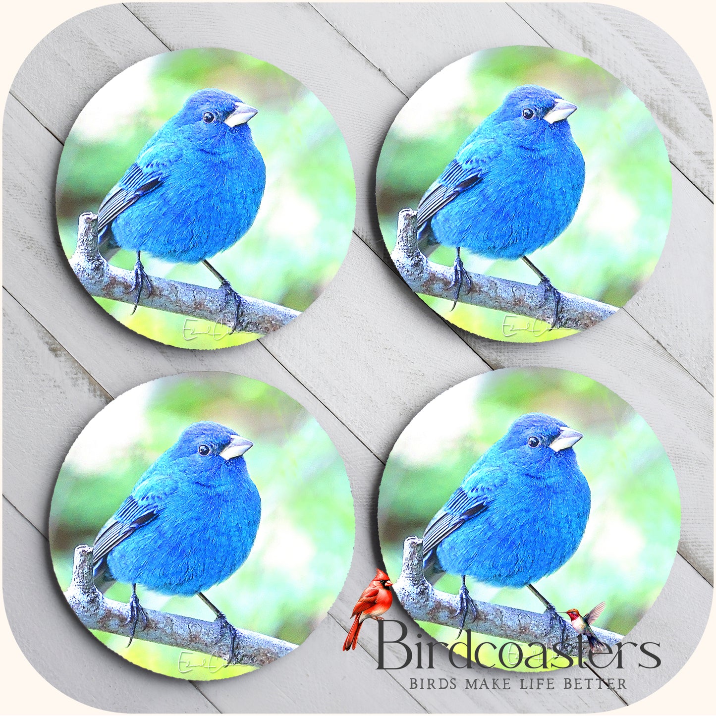 Indigo Bunting - Forest Glow
