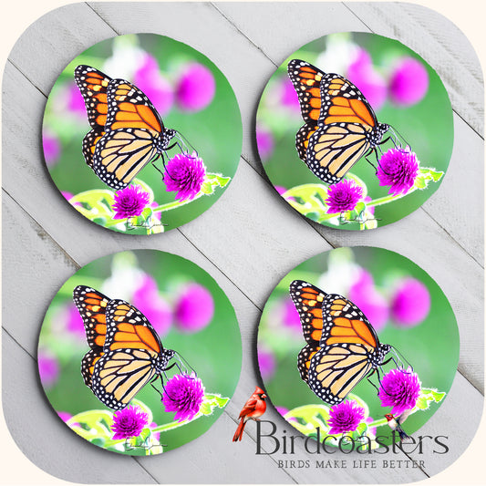 Monarch Butterfly - Purple Stillness