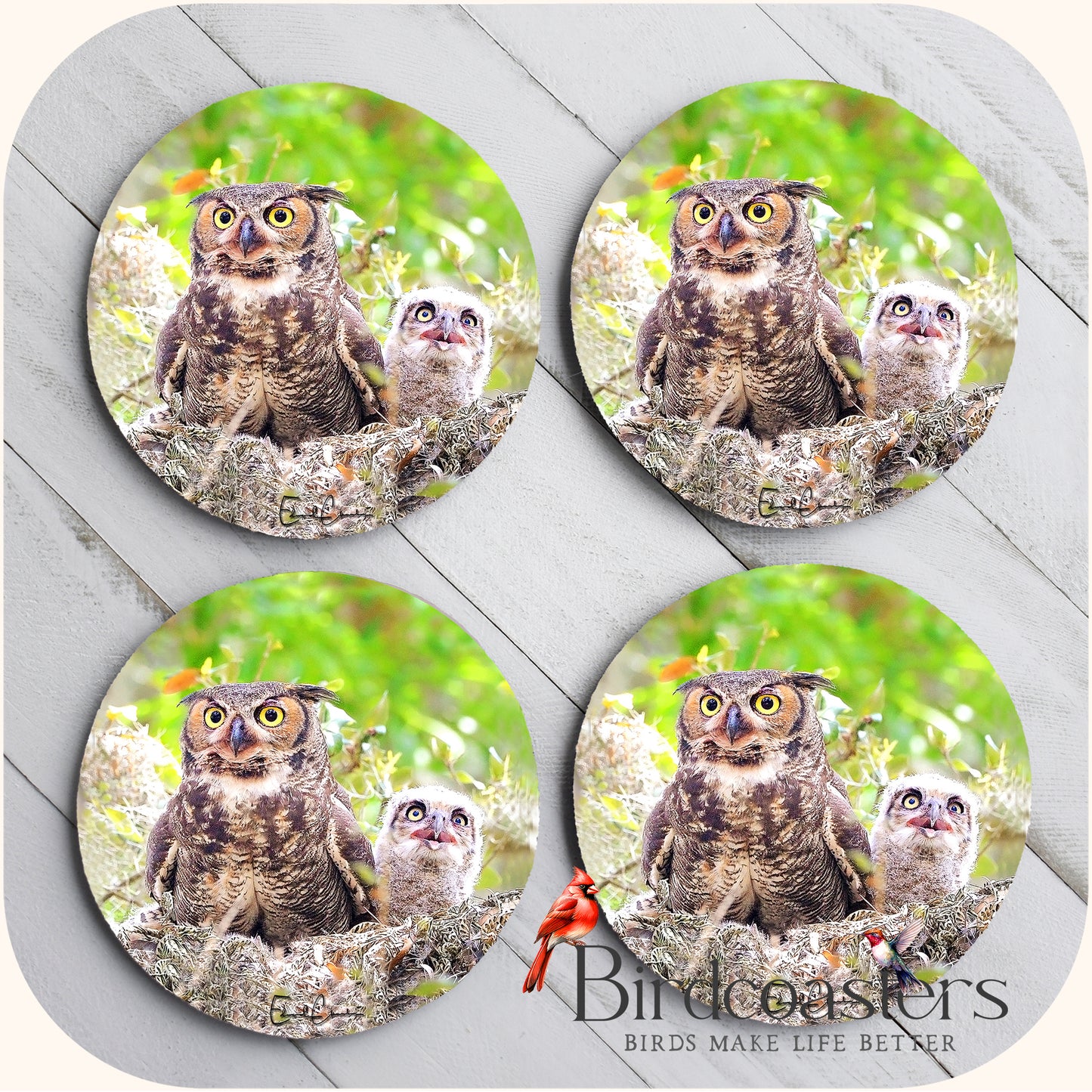 Owl Family - Nesting Comfort