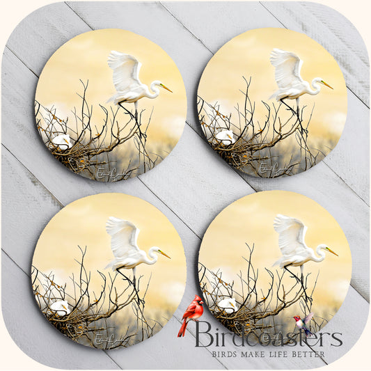 White Egret - Winter Watch