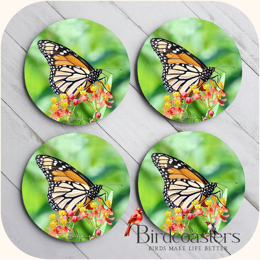 Monarch Butterfly - Garden Grace