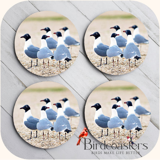 Seagulls Gathering - Coastal Charm