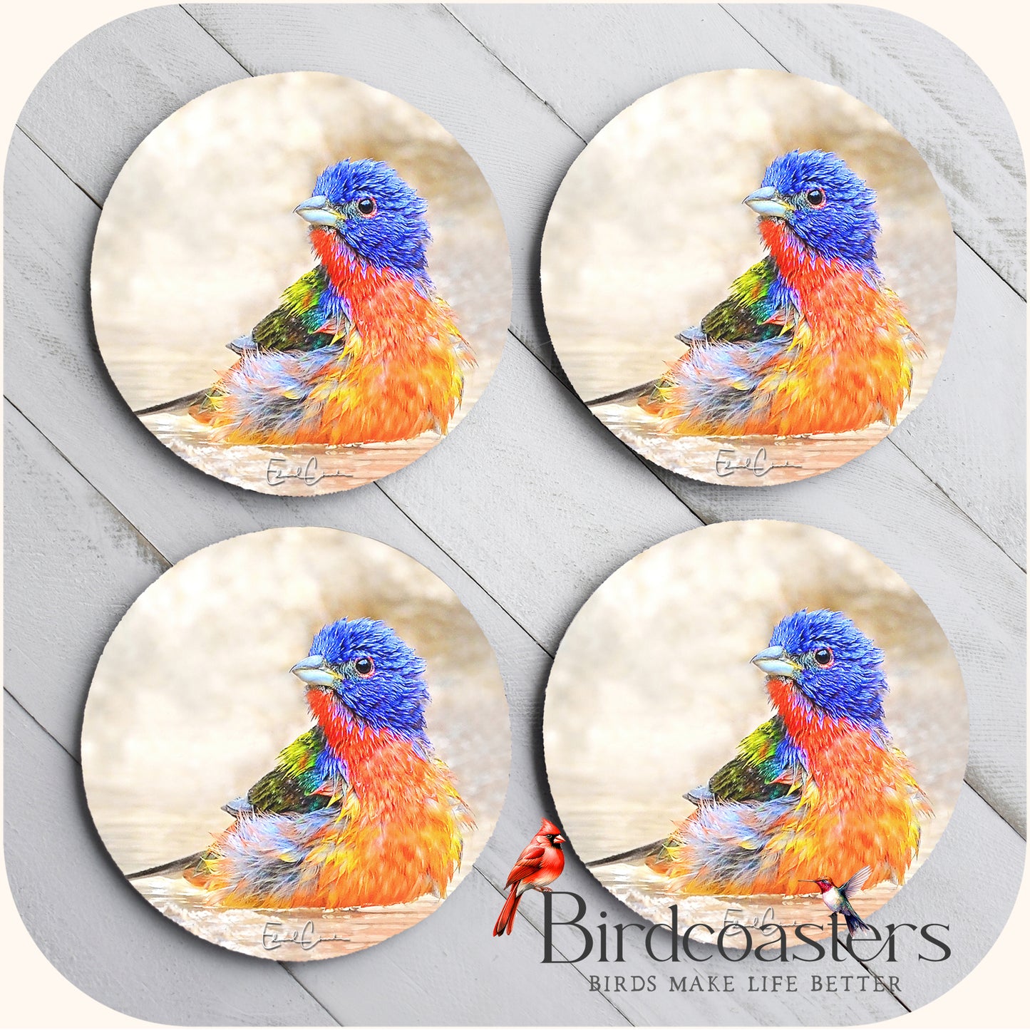 Painted Bunting - Splashy Little Miracle