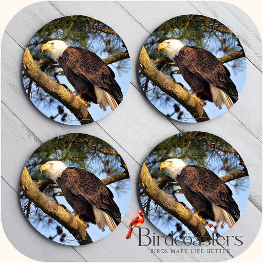 American Eagle - Woodland Grace