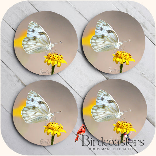 Checkered White - Morning Glow