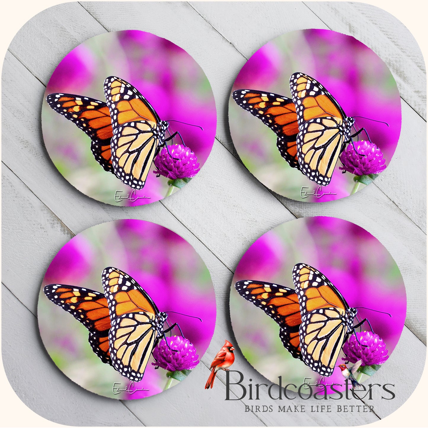 Monarch Butterfly - Garden Grace
