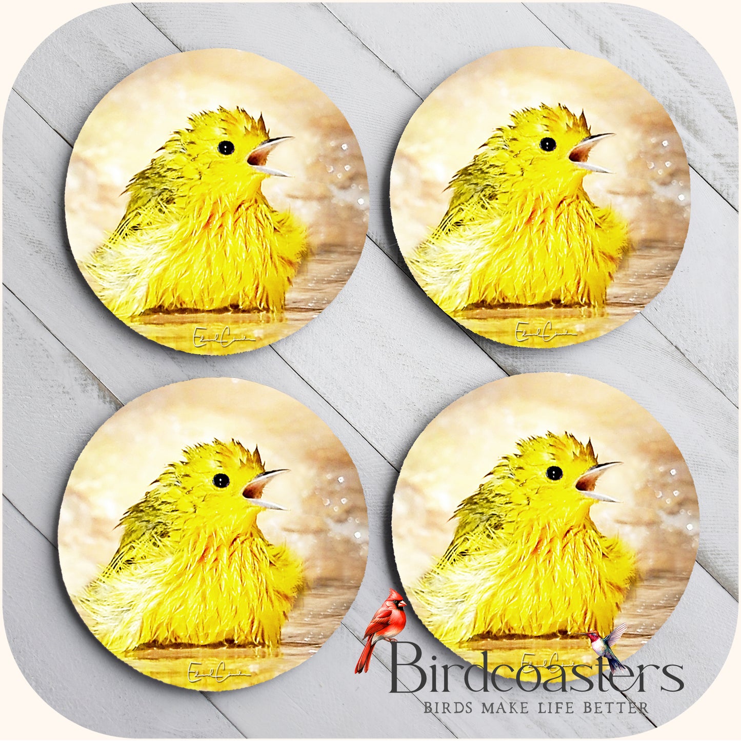 Yellow Warbler - Yellow Sunshine