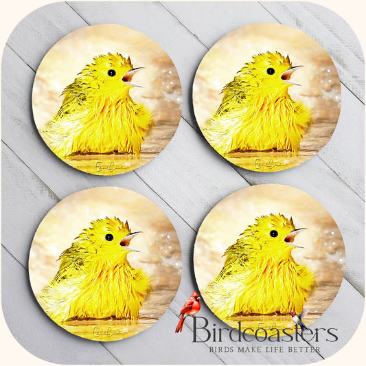 Yellow Warbler - Yellow Sunshine