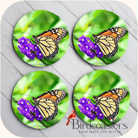 Monarch Butterfly - Deep Bloom