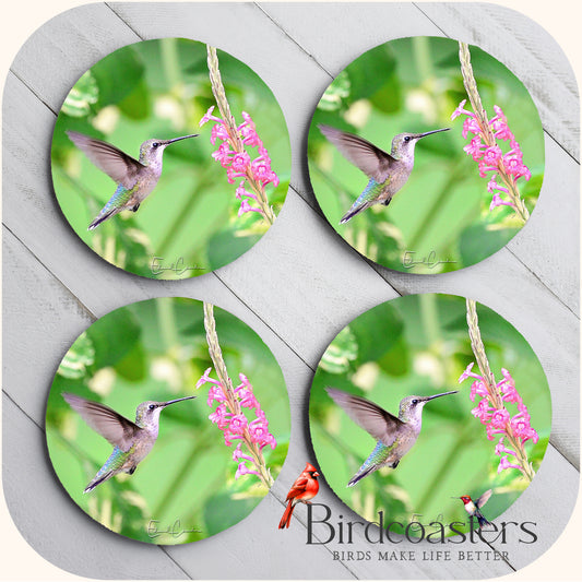 Ruby-Throated Hummingbird - Hovering Grace