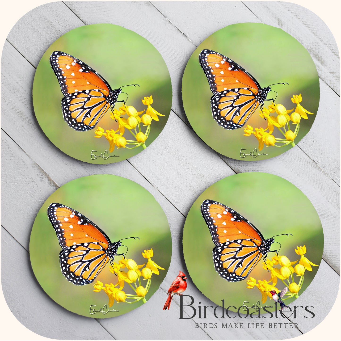 Queen Butterfly - Gentle Glow