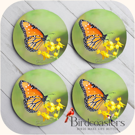 Queen Butterfly - Gentle Glow