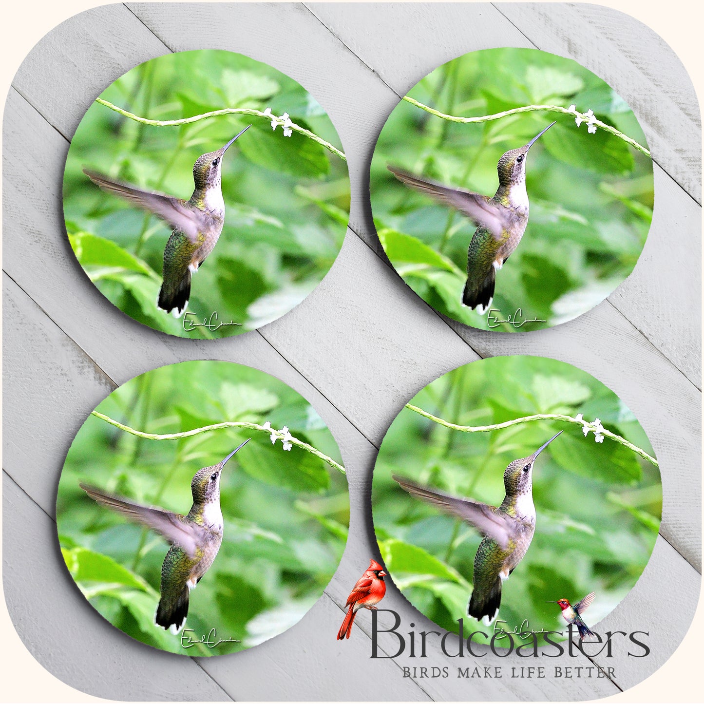 Ruby-Throat Hummingbird - Gentle Offering