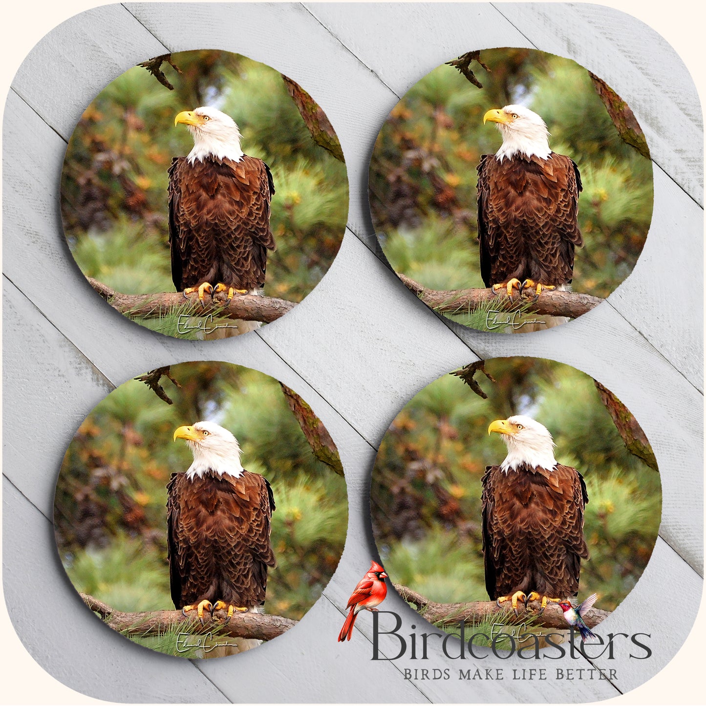 American Eagle - Forest Majesty