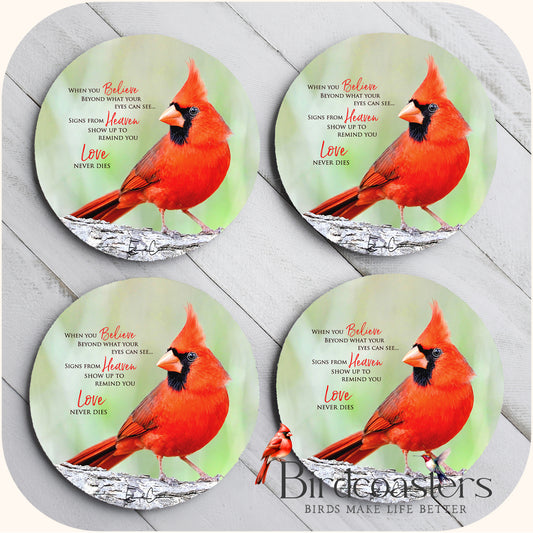 Cardinal with Poem - When You Believe