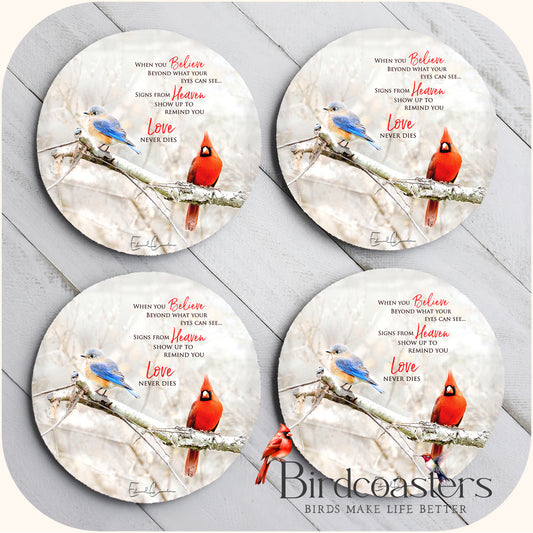 Bluebird and Cardinal with Poem - When You Believe