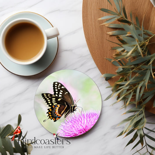 Palamedes Swallowtail Butterfly with Peace