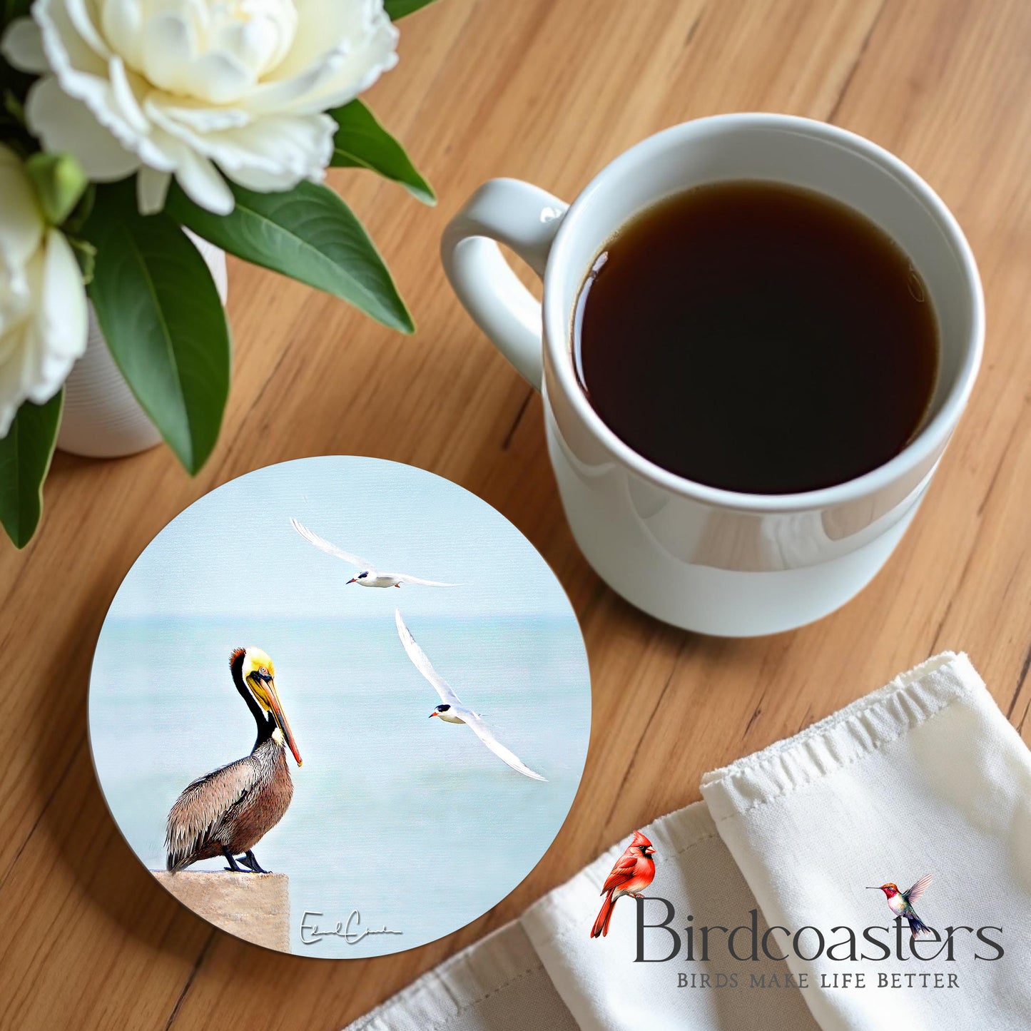 Pelican with Seagulls