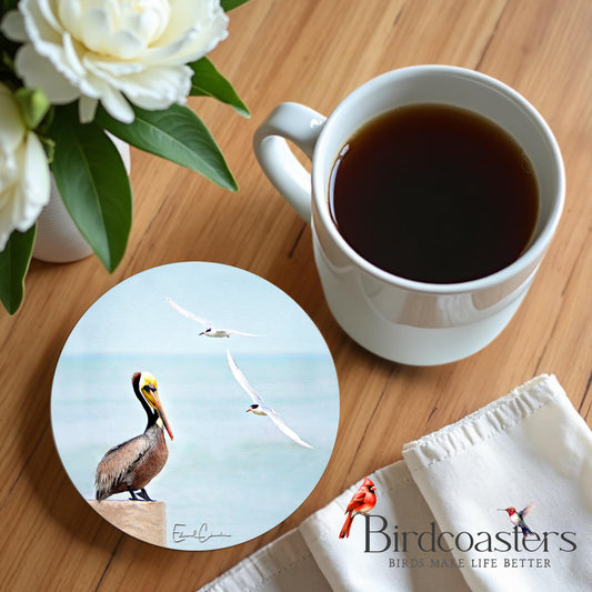 Pelican with Seagulls