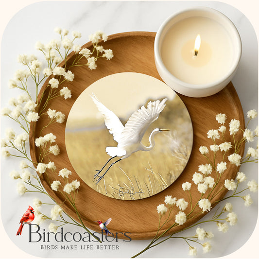 Great White Egret - Morning Ascent