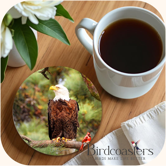 American Eagle - Forest Majesty