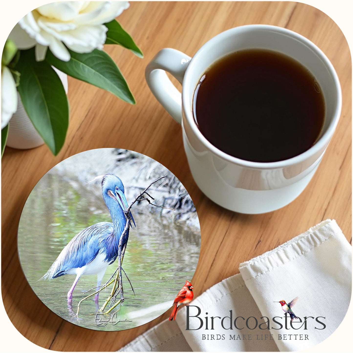 Tri-Colored Heron - Nest Builder