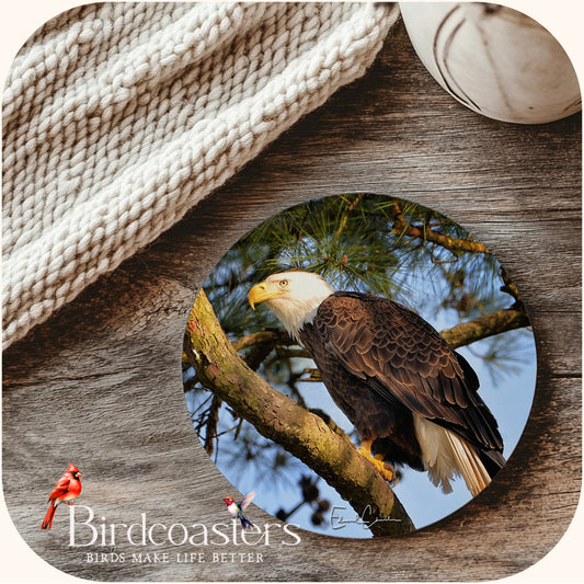 American Eagle - Woodland Grace